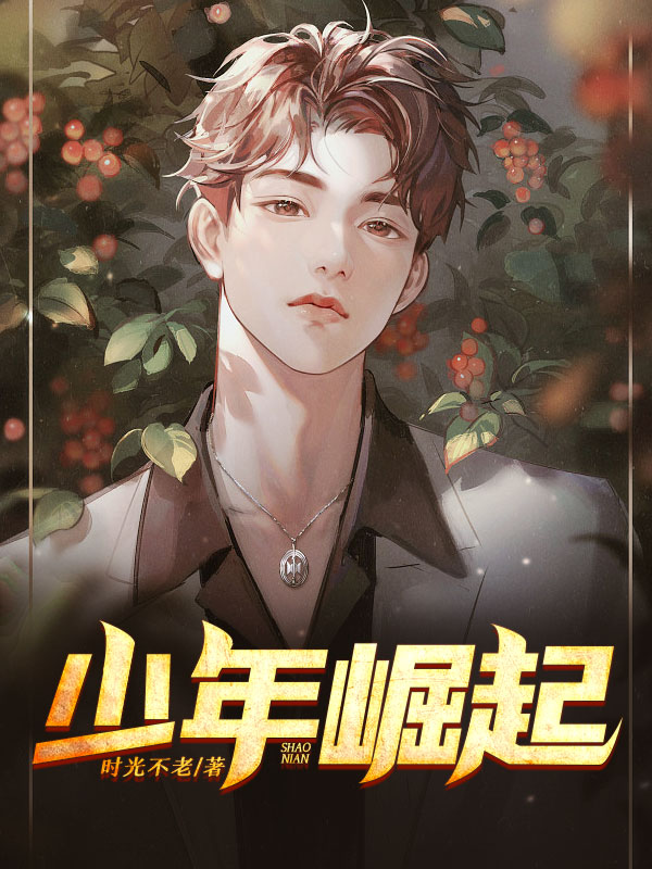 少年崛起小说阅读
