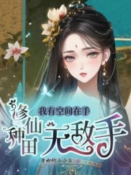 我有空间在手，修仙种田无敌手阅读小说阅读