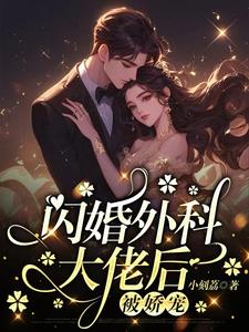 闪婚外科大佬后被娇宠林娴陈一泽