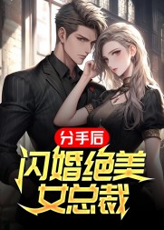 分手后,闪婚绝美女总裁