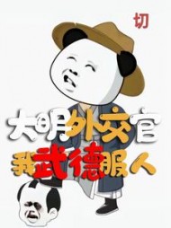 大明外交官,我武德服人陈林小说阅读
