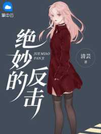 绝妙的反击小说阅读