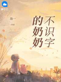 不识字的奶奶小说阅读