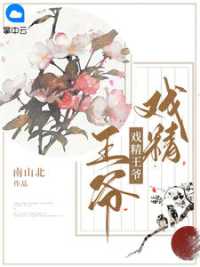 戏精王爷小说阅读