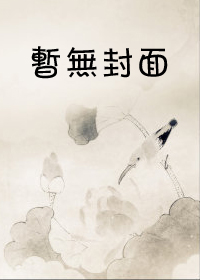 傻子奇遇小说阅读