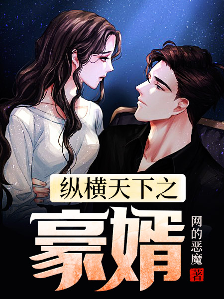 纵横天下之豪婿小说阅读