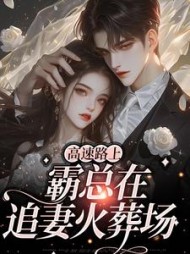 高速路上,霸总在追妻火葬场