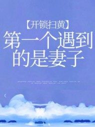 开锁扫黄第一个遇到的是妻子叶雨尘