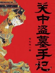 关中盗墓手记崔浩阅读