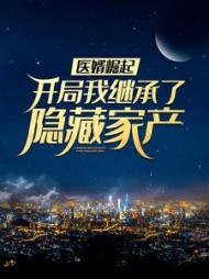 医婿崛起:开局我继承了隐藏家产阅读