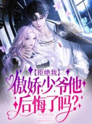 拒绝我，傲娇少爷他后悔了吗？完结