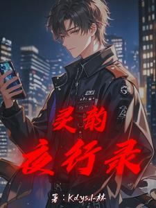 灵韵夜行录林羽小说阅读