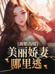 离婚高嫁：美丽娇妻哪里逃阅读