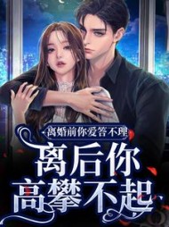 主角是林舒傅明诚的