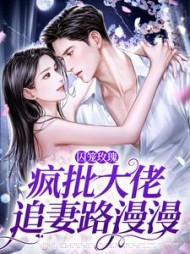 囚笼玫瑰疯批大佬追妻路漫漫沈洛兮