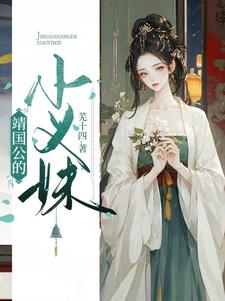婧国公的小义妹沈北岐沈璃小说阅读