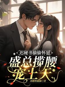 迟秘书偷偷怀崽，盛总揽腰宠上天小说阅读