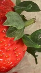 姐姐死了，我杀疯了