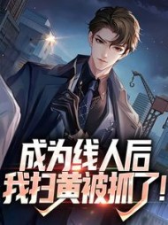 成为线人后我扫黄被抓了(江淼)