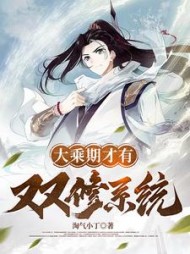 大乘期才有双修系统叶苍