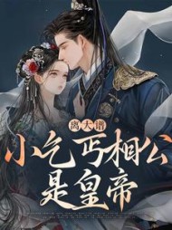 离大谱小乞丐相公是皇帝苏清儿