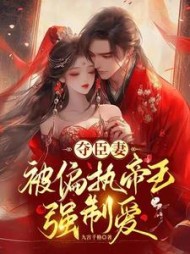 夺臣妻，被偏执帝王强制爱阅读小说阅读