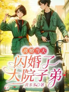 离婚当天，闪婚了大院子弟阅读小说阅读