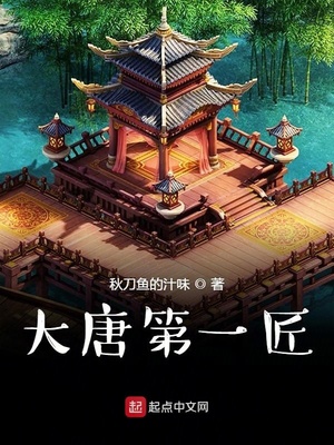 大唐第一匠小说阅读