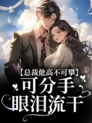总裁他高不可攀，可分手眼泪流干小说阅读