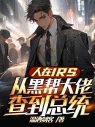 人在IRS，从黑帮大佬查到总统小说阅读