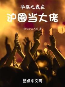 華娛之我在圈內當大佬小说阅读