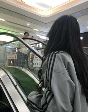 [完结by2番外]《倾羲 （1v1 追妻火葬场）》作者：西莉娅小说阅读