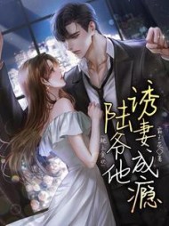 枕上贪欢，陆爷他诱妻成瘾小说阅读