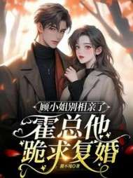 顾小姐别相亲了，霍总他跪求复婚小说阅读