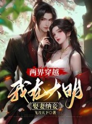 两界穿越，我在大明娶妻纳妾小说阅读