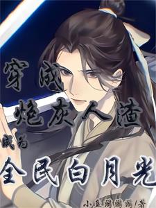 穿成炮灰人渣，成为全民白月光小说阅读