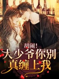 胡闹！大少爷你别真缠上我小说阅读