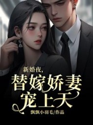 新婚夜，替嫁娇妻宠上天小说阅读