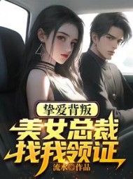 挚爱背叛，美女总裁找我领证小说阅读