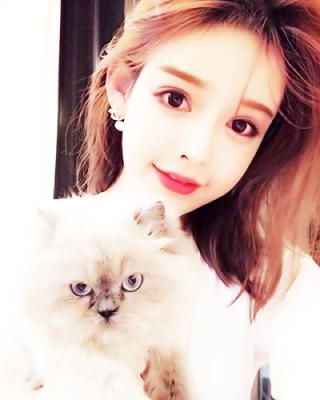 娇小姐与疯犬小说阅读