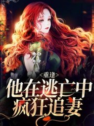 重逢：他在逃亡中疯狂追妻小说阅读