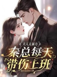 夫人太暴力，秦总每天带伤上班小说阅读