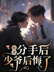 追妻：分手后，少爷后悔了小说阅读