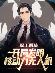 军工系统开局发明核动力无人机黄平小说阅读