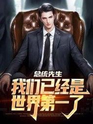 总统先生，我们已经是世界第一了小说阅读