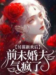 许微澜孟宴南季时聿