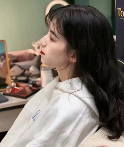 《陛下轻点罚，宫女她说怀了你的崽》衡月 楚今安小说阅读