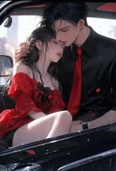 极品佳人张婉老李