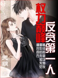 权力巅峰：反贪第一人主角林东凡阅读小说阅读