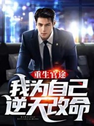 重生官途：我为自己逆天改命阅读小说阅读